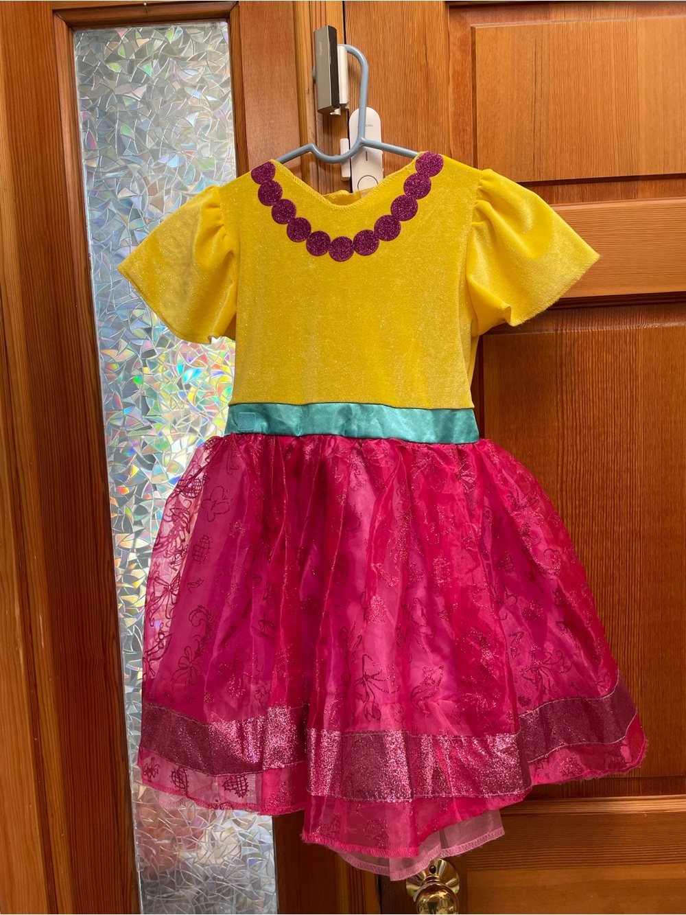 Fancy Nancy dress costume 4-6x
